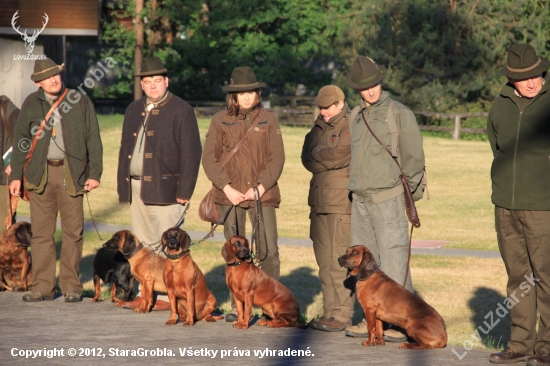 Piotrków Trybunalski 2012 [PL]