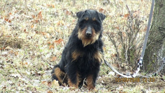 Cziko (odloženie )