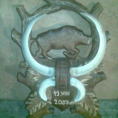 podlozky