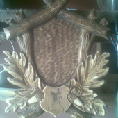 podlozky
