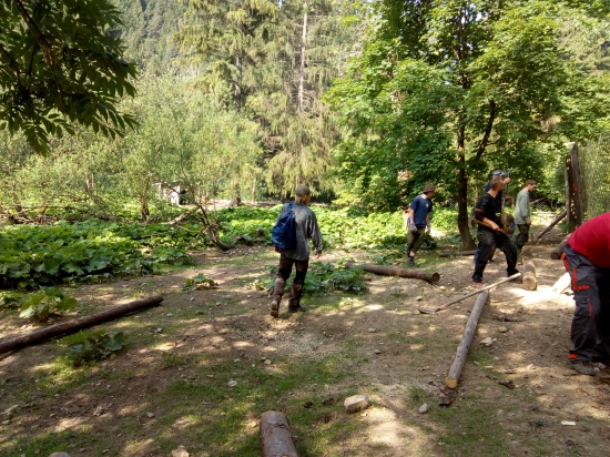 Brigáda v diviačej obore