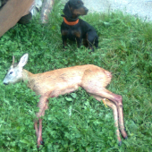 Astrina prvá úspešná dohladávka