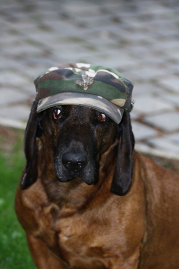 Farbiar pripravený do pohonu.