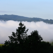 Zaujmavé ráno. (mlha?, para?)