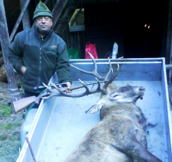 Odvoz streleného jeleňa