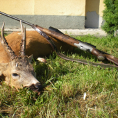 môj prvý kapitálny