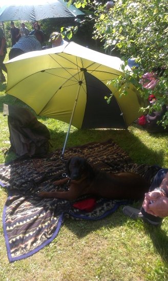 relax Astora pred začatím výstavy