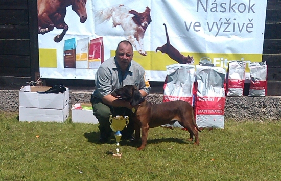 výstava Sielnica 2014