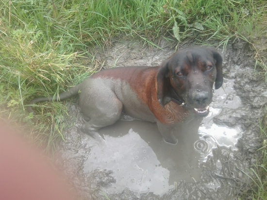 dobrý kúpeľ nezaškodí