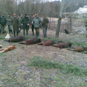 vyrad na spolocnej polovacke