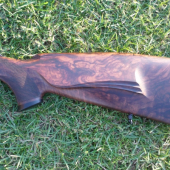 Nova pažba na Blaser K95