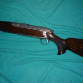 Sauer303
