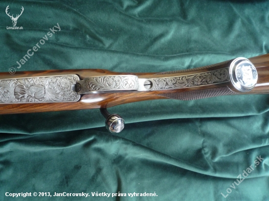 CZ550