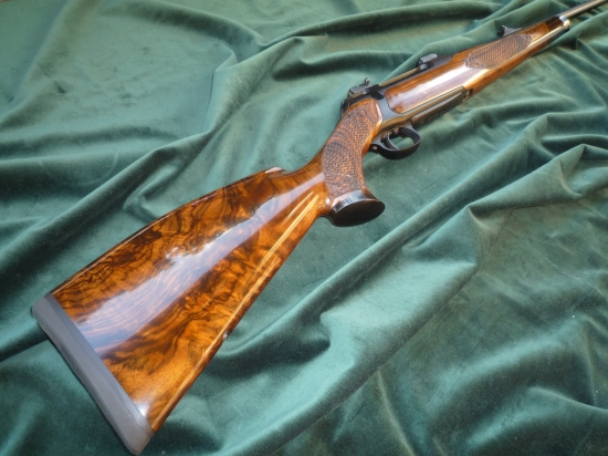Sauer202