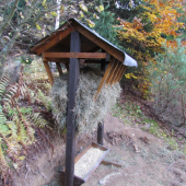 moj prvy krmelec v zivote :)