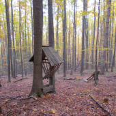 v jesennom pozadi :)