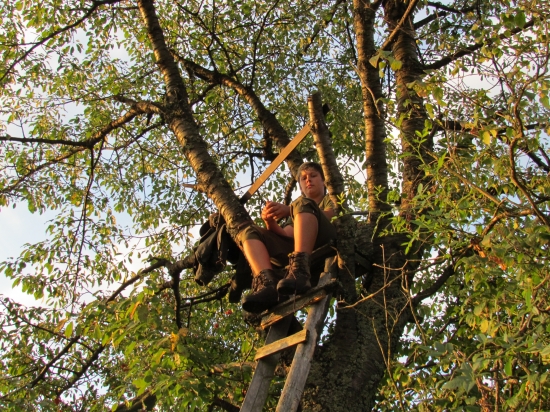... čakame na srnca a nič ,,,
