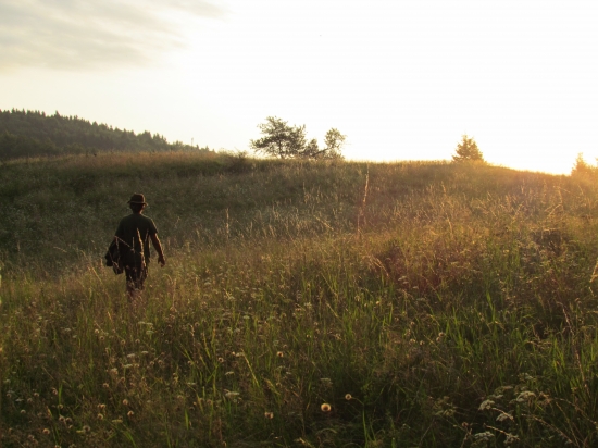naproti slnečným lúčom :)