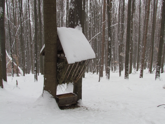 chodím ho doplňať každy druhý deň