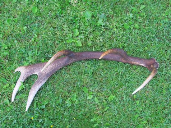 tak sa mi pošťastilo :)