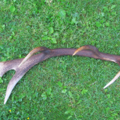 tak sa mi pošťastilo :)