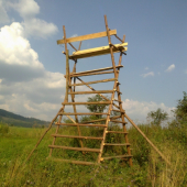 Lavička