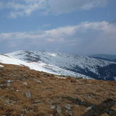 Hrebeň medzi K.Hoľou a Orlovou.