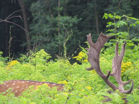 Ani nevede,l že som od neho pár metrov