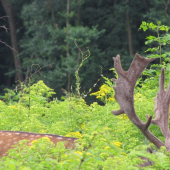 Ani nevede,l že som od neho pár metrov