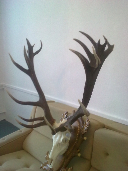 Pod Tatranska krasota,,, 224 b,