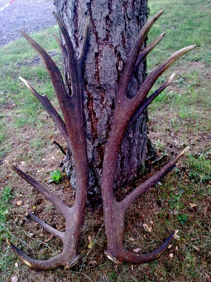 Z Levocskych vrchou cca 220 b