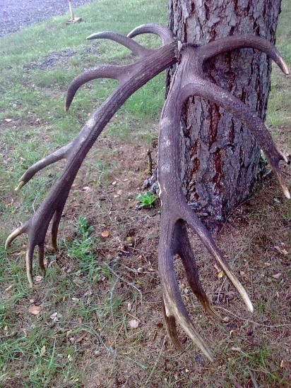 Dolu hlavou,,,, Levocske ,,