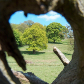 ...aj takto sa dá vidieť príroda...