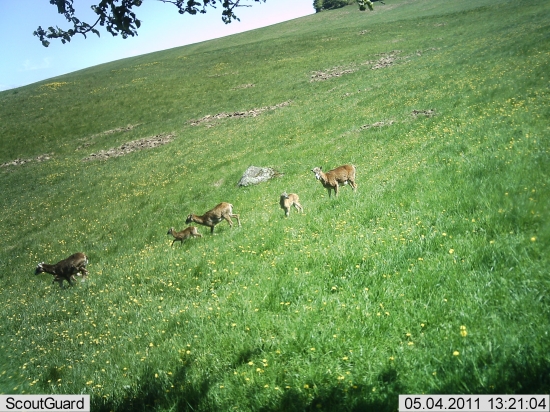 prvá prechádzka...?