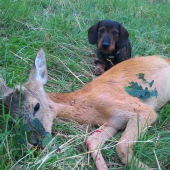 Neočakávaný úlovok