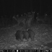 ...čakajte...ste v poradí...