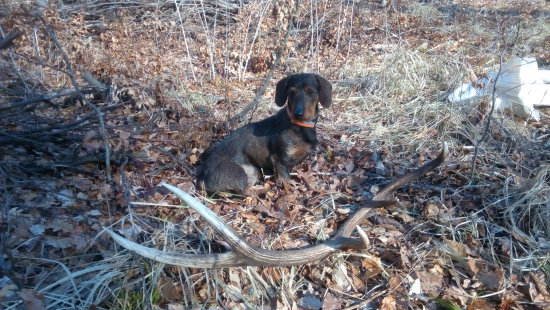 spolu sa nám zadarilo