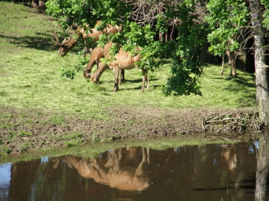 Ranč Větrovy