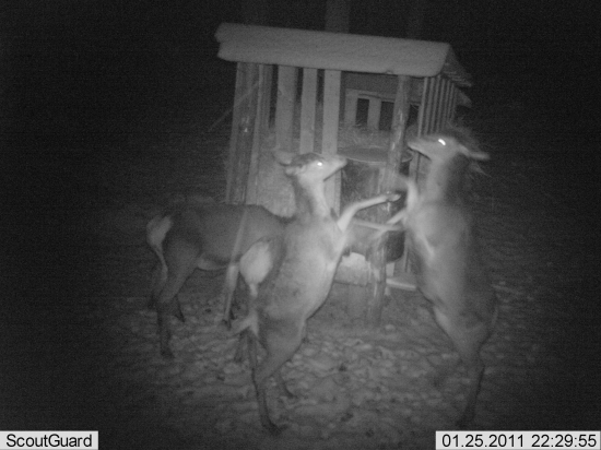 tak si to teda vysvetlíme ručne-stručne