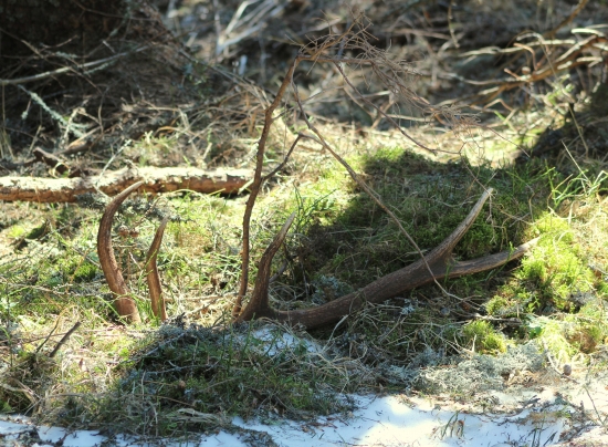 Môj prvý - prvý pohľad