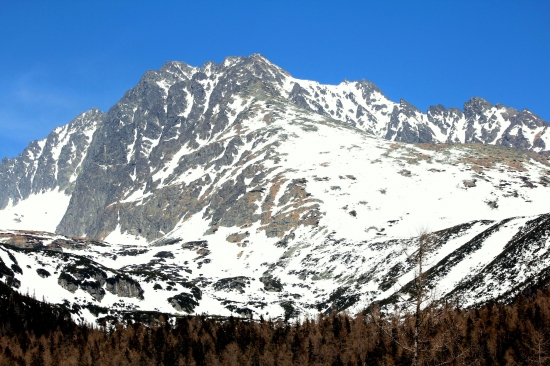 Gerlach