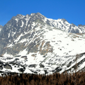 Gerlach