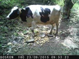 SKORO SA NEZMESTILA NA FOTKU