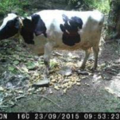 SKORO SA NEZMESTILA NA FOTKU