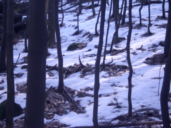 prvy pohlad-minulorocny