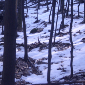 prvy pohlad-minulorocny