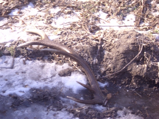 tohtorocny a taky mlady