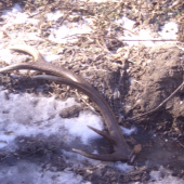 tohtorocny a taky mlady