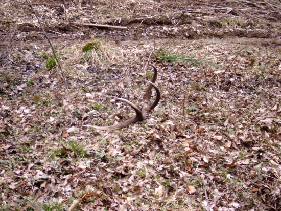 konecne aj na mna prisiel rad