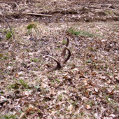 konecne aj na mna prisiel rad